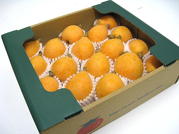 �R�䒬�ň�Ă����n�т�i�c���т�j�唠