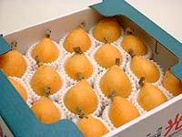 �R�䒬�ň�Ă����n�т�i�c���т�j�唠