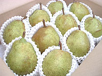 ���t�����X�i�����j