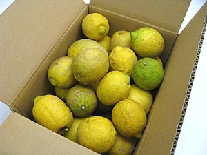 ���Y������5�L����