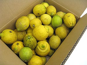 ���Y������3�L����