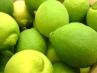�g���Ĉ��S�I���Y������