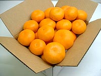 �g���~�J���@3�L����