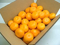 �g���~�J���@5�L����