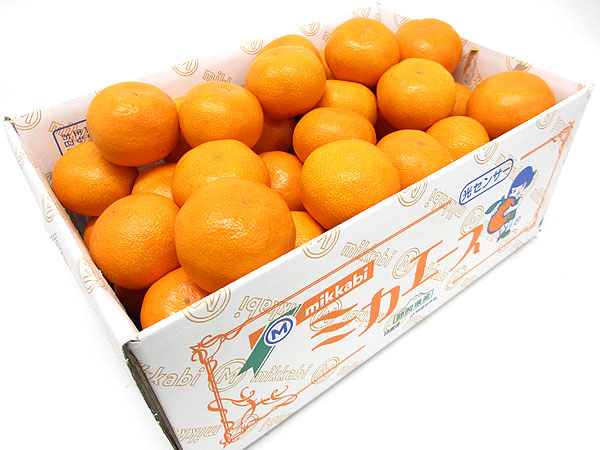 �~�J�G�[�X�i�l�T�C�Y�E5�L���j5�L���́A�~�J�G�[�X�̔��ł����肵�܂����A3�L����7.5�L���́A�~�J�G�[�X�̔����Ȃ��̂ŁA�g���̃I���W�i�����ɓ���Ă��͂��������܂��B