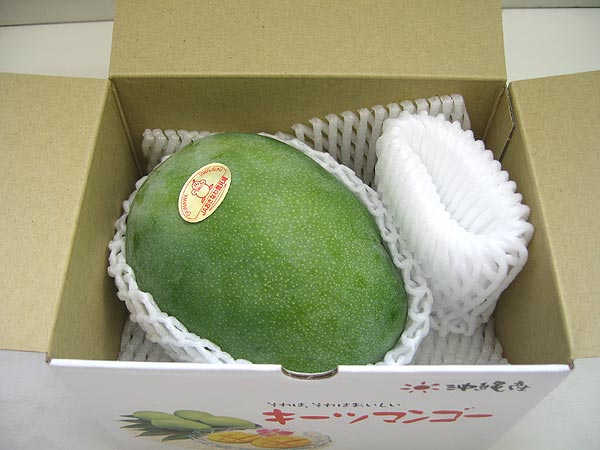 �礭�����󥰥ޥ󥴡���������