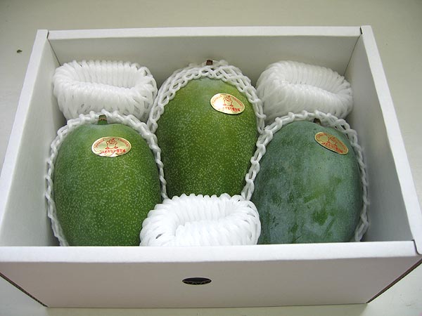 �礭�����󥰥ޥ󥴡�2��3������