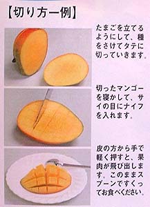 ���졼�ץ롼����