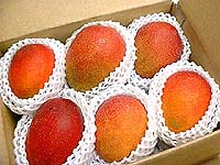 ��̤Υޥ󥴡�5��6������