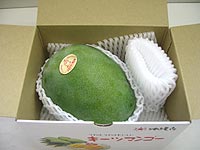 ���컺���󥰥ޥ󥴡�1������