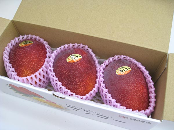 �礭�ܤΥޥ󥴡�2��3������