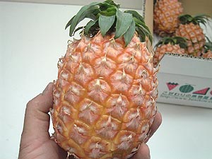 �܂����ׂ��Ă��Ȃ��̂Ńs�[�`�p�C���̃C���[�W�ł��B