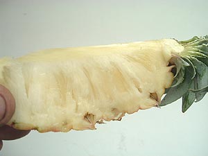 �܂����ׂ��Ă��Ȃ��̂Ńs�[�`�p�C���̃C���[�W�ł��B