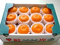 �����݂���i�X�y�V���������j