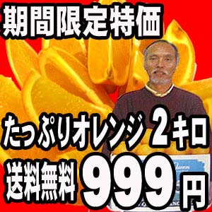 ���Ԍ�����ʔ̔��I�󂠂�ł����A�i���͓����ł��I�����Ȃ̂Ő�Δ����ł��I