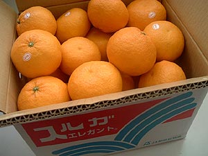���n�X���K�G���K���g�唠