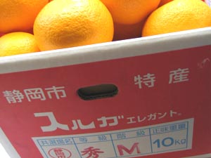 ���n�X���K�G���K���g�唠