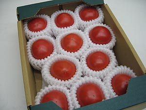 �g���̊��n�g�}�g����