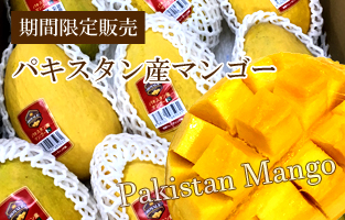 パキスタン産マンゴー