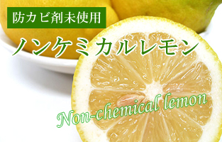 ノンケミレモン
