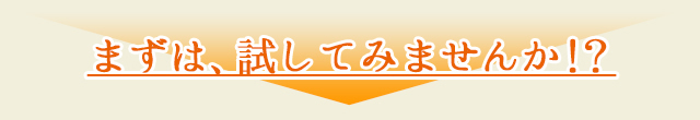 まずは、試してみませんか！？