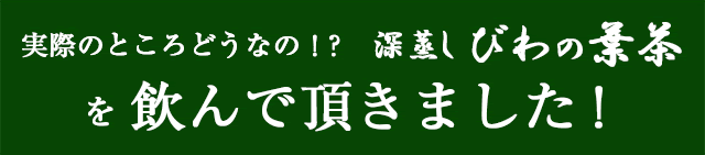 実際のところどうなの！？深蒸し びわの葉茶を飲んで頂きました！