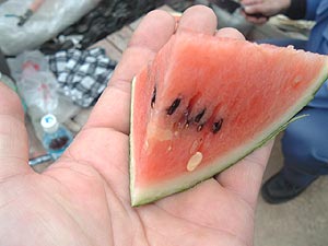 新日本航空の沖縄線の飛行機。 