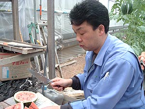 新日本航空の沖縄線の飛行機。 