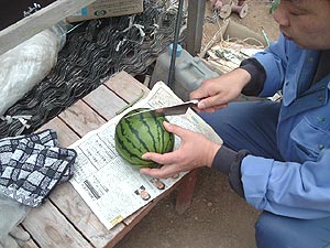 新日本航空の沖縄線の飛行機。 