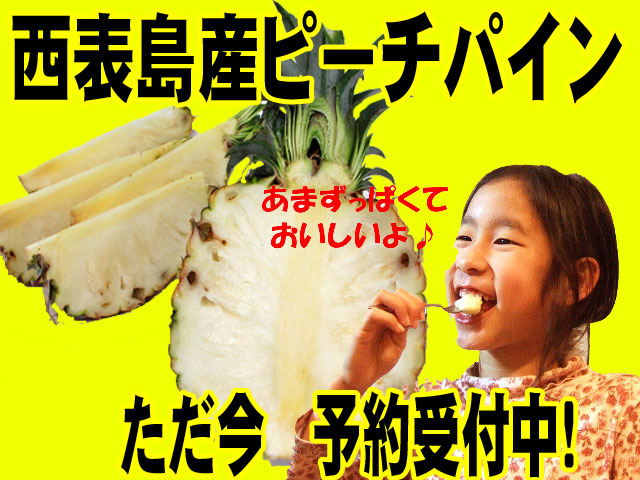 ぜひ一度お召し上がりください。本当においしい沖縄・西表島のピーチパイン！