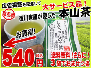 【送料無料540円】徳川家康が愛した静岡市本山茶たっぷり100g♪