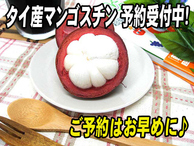 タイ産フレッシュマンゴスチン こだわりの果物屋 紅光（本店）