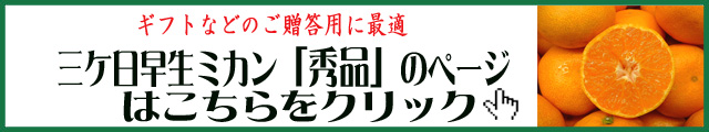 三ヶ日ミカンのカット