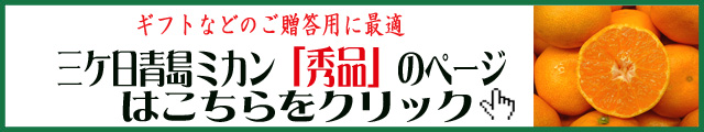 三ヶ日ミカンのカット