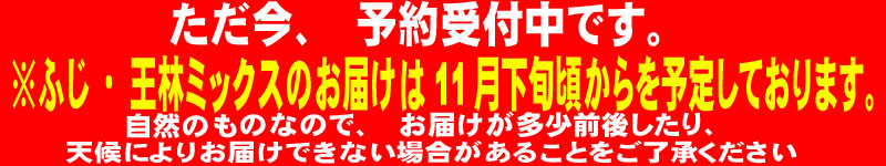 王林・ふじりんご11月下旬頃からお届け開始