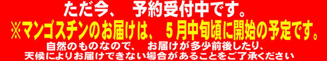 ５月中旬以降入荷予定