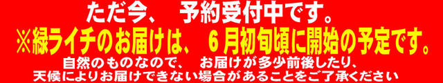 グリーンライチ　（妃子笑）