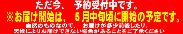 予約受付中！