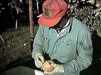 ���n�̗l�q