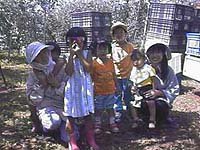 ����t�@�~���[