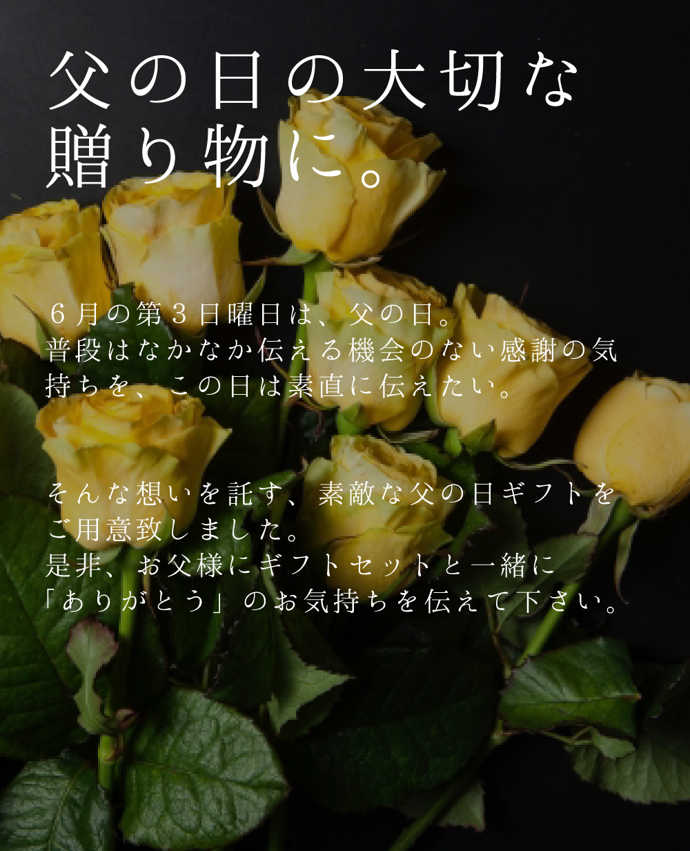 渵 渵  £ ե ˤ  饦 ޥ ޥ ʪ ե롼ĥե £ ʪ  Ų 渵 渵  Ϸ 渵   渵