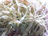 ���ɂ̐؊��卪