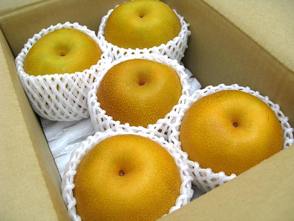 豊水梨小箱