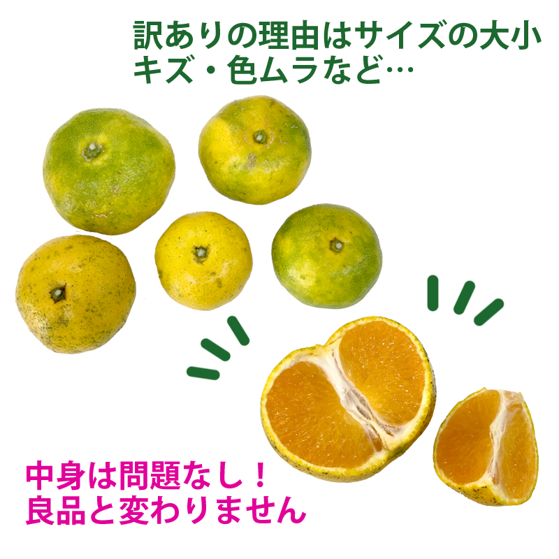 ���쌧�����x�Y �H�p�ق�����
